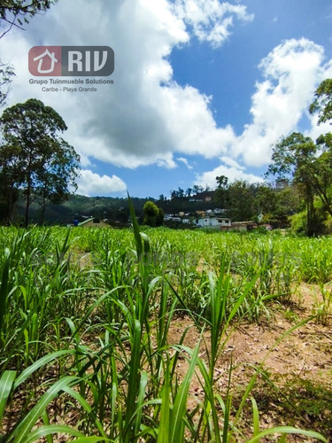 Venta - Terreno En La Colinas De Carrizal, Estado Miranda.