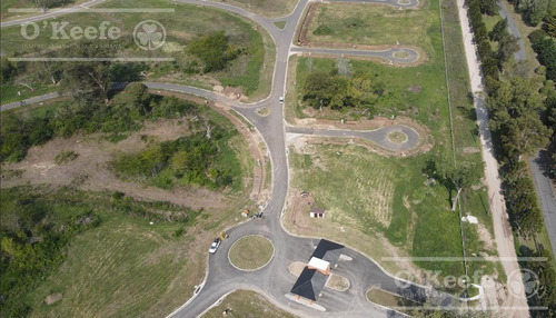 Imagen 6 de 14 de Excelente Lote En San Juan Chico - Gran Oportunidad De Inversión En Hudson. Posesión Inmediata