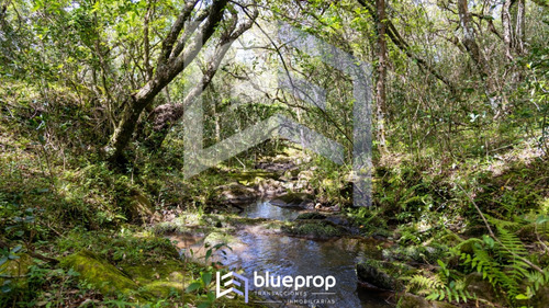 Promo! Desde 30% De Descuento En Tu Chacra: Sierras Del Eden; Chacras De 5 Has A 17 Minutos De Pueblo Edén!