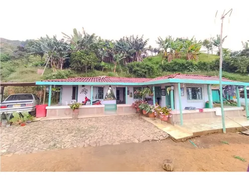 Finca En Fredonia Vereda La Cordillera