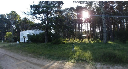 Imagen 3 de 4 de Terreno En Venta Pinamar - 800m2, En El Bosque!