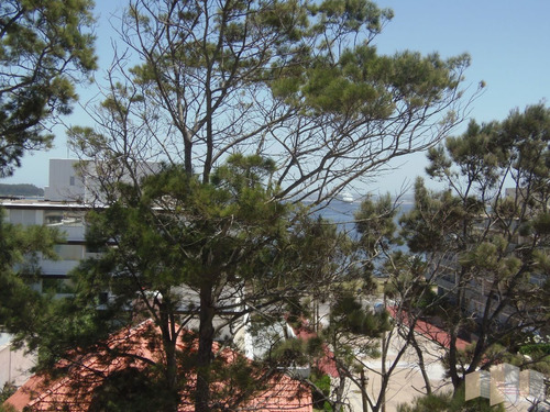 Imagen 27 de 30 de Apartamento En Punta Del Este, Peninsula