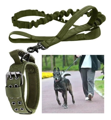 Collar Y Cuerda Para Perros Medianos Y Grandes.verde