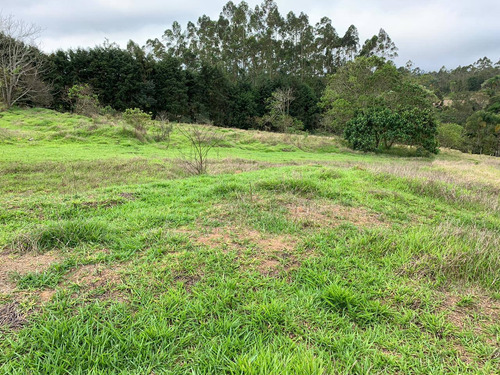 (k.a) Venha Com A Familia Para O Melhor E Preços Baixos