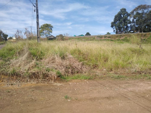 Imagem 8 de 10 de Terrenos - Ref: V5767