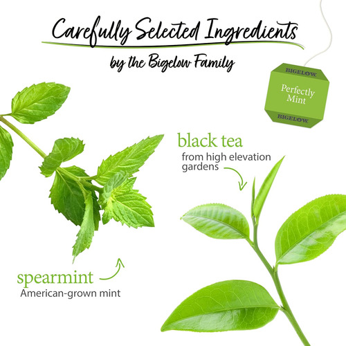 Bigelow Tea Perfectly Mint Black Tea, Té De Menta Verde Con