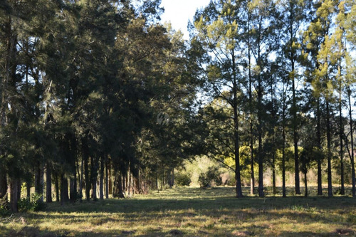 Venta Chacra Ruta 60 Maldonado Pan De Azucar Cerro Betete
