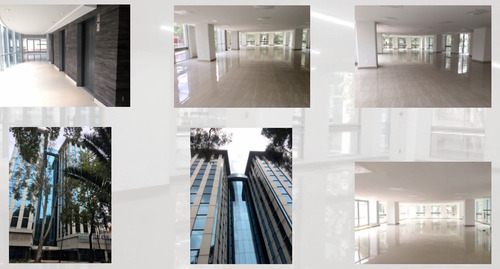 Imagen 3 de 24 de Oficina - Anzures / Polanco - Corporativo Heldan 541.52m2 ,