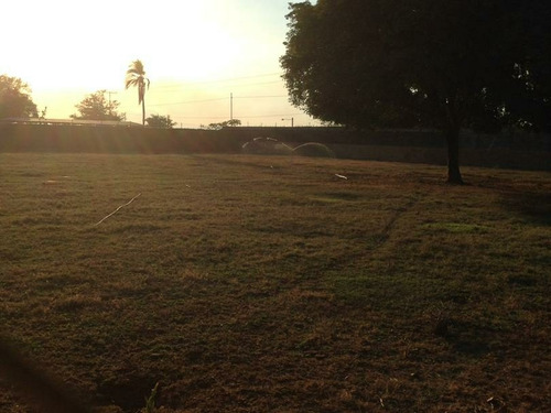 Imagen 9 de 13 de Finca Productiva En Tinaquillo. Cojedes