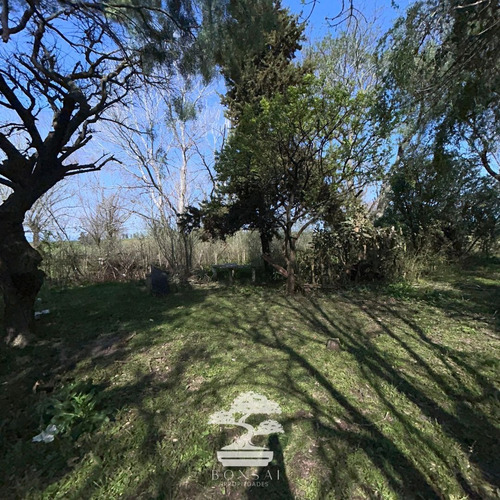 Venta De Chacra Con Casa Ruta 5 Florida Mp.