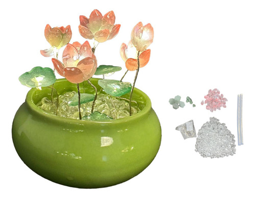 Diy Lotus Luz Nocturna Material Paquete Decoración Mini