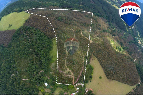 Terreno Campo Forestal En Venta - Mantahue Gorbea