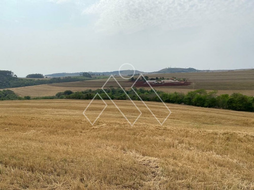 Imagem 7 de 8 de Fazenda Para Plantio Próximo A Londrina (71,05 Alqueires) - Mi1373