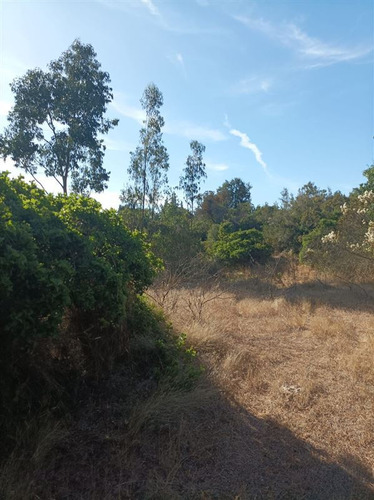 Agrícola En Venta En Navidad