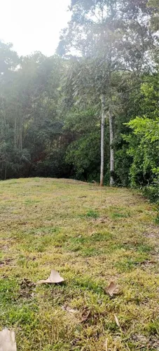 Lote 2.310 Mts2 A Media Hora De Manizales