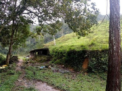 Imagem 14 de 30 de Sítio À Venda Em Juquitiba! - 172 - 34443922