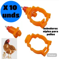 Comprar Bebederos Tipos Niples Para Gallinas. Pollos 