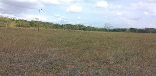 Imagen 3 de 17 de Finca En La Colonia En Yaracal Edo. Falcon