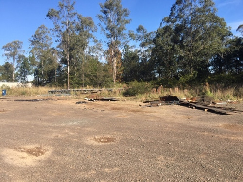Imagem 6 de 20 de Galpão Industrial Para Venda Em Cachoeirinha, Rs, Distrito Industrial De Cachoeirinha, Galpão Logístico, Depósito De Distribuição, - Dp3170 - 68163013