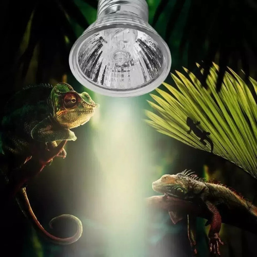 Lámpara Calefactora Para Reptiles, Lámpara Calefactora 50w
