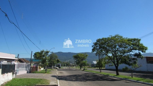 Imagem 9 de 13 de Terreno Na Av. Liberdade! - M8334