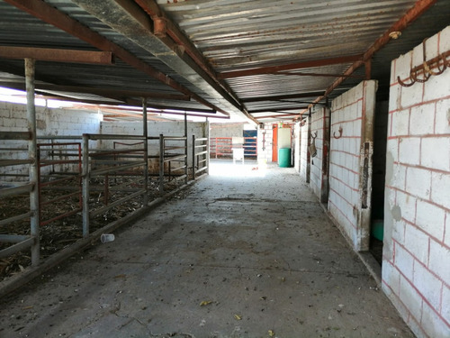 Rancho En Venta Cerca De Polotitlán Querétaro - Precio De Remate