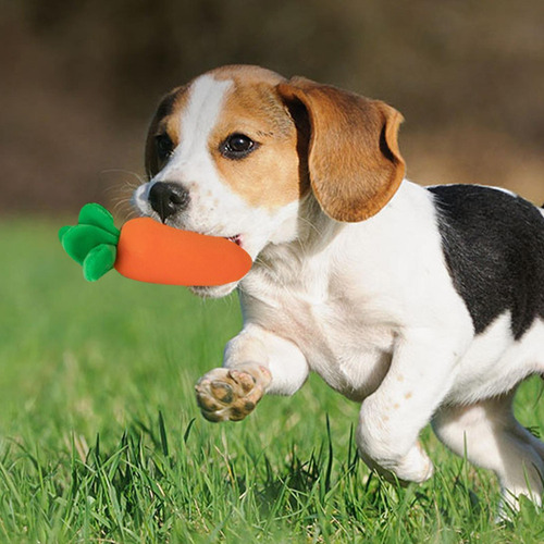 S+ Juguetes Interactivos For Perros For El Aburrimiento
