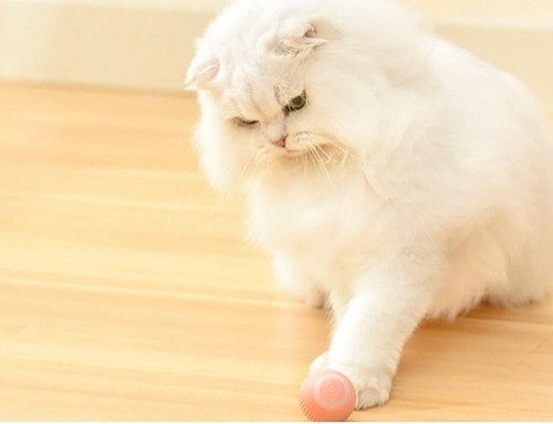 Brinquedo Interativo: Gatos, Cães, Bola Louca, Recarregável