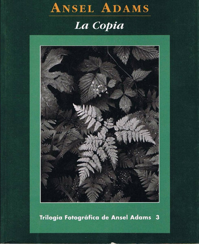 Livro La Copia Em Espanhol