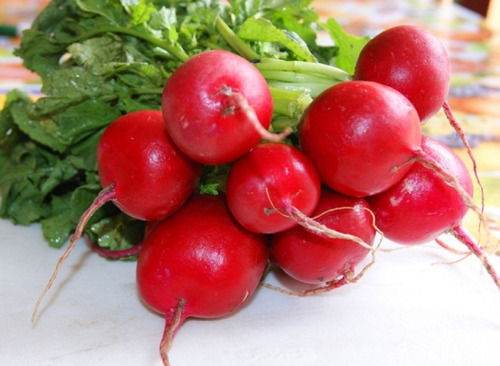 Rabanitos Crimson Gigante - Red Globe 50 Grs