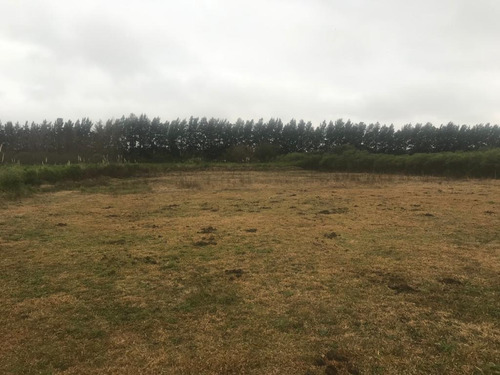 Imagen 2 de 9 de Terreno En Venta En Alto Los Cardales