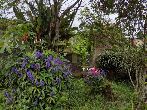 Chácara Com 2 Dorms, Chácara Bonanza, Embu-guaçu - R$ 280 Mil, Cod: 2091 - V2091