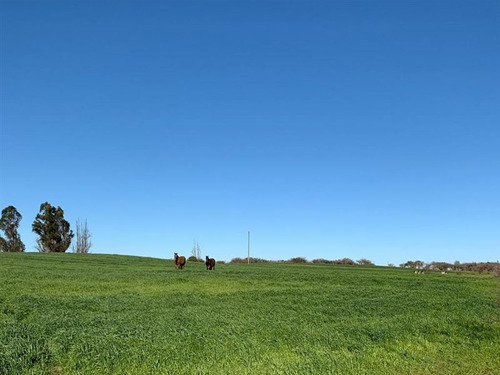 Agrícola En Venta En Parral