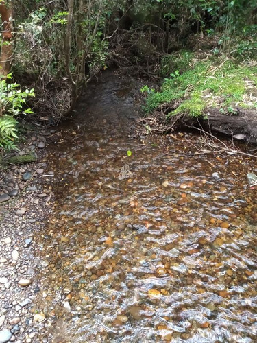 Imagen 9 de 30 de Agrícola En Venta En Ancud