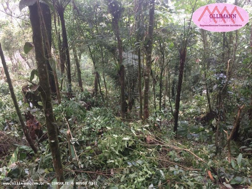 Terreno Para Venda Em Santo André, Chácara Carreiras - 0211/2018_2-1183565
