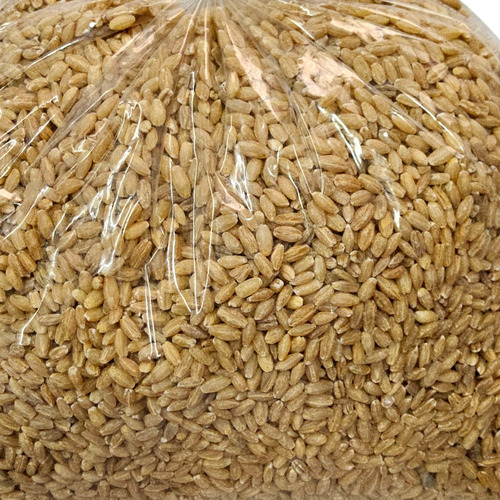 5kg Cebada Perla O Perlada Artesanal Hecha En Yucatán