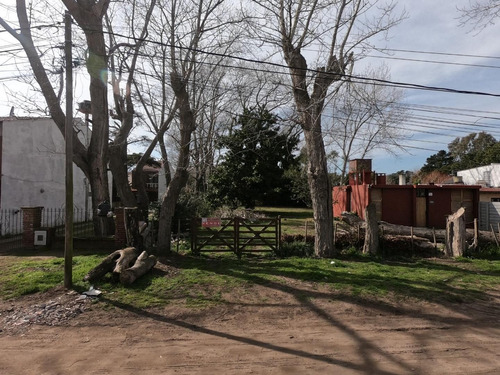 Hermoso Lote Con Arboleda, De 10 X 40, San Bernardo, Escucho Oferta!!!