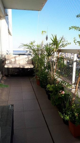 Excelente Departamento De 1 Dormitorio - Complejo De Torres Maui