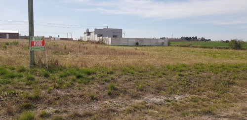 Imagen 2 de 7 de Terreno Lote En Venta Tierra Alta Colonia Ensayo Entre Rios