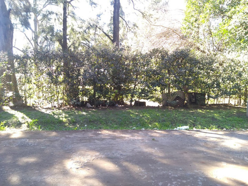 Imagen 3 de 5 de Lote 600 M2. Villa Udaondo