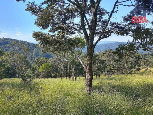 Imagem 3 de 6 de Terreno À Venda, 1000 M² Por R$ 130.000 - Chácara Belvedere - Mairiporã/sp - Te0365