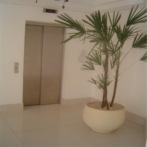 Cobertura Residencial À Venda, Anália Franco, São Paulo. - Co0212