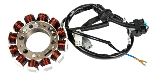Estator P/ Yamaha Ybr 125 2003 (12 Bobinas) W Standard