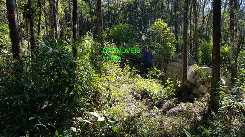 Imagem 2 de 19 de Juquitiba/terreno Com Mata E Nascente. - 05000 - 68089597