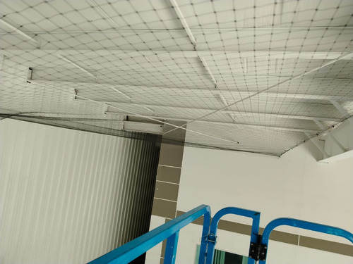 Malla Antipalomas Ideal Para Exteriores 5mx50m Extruida