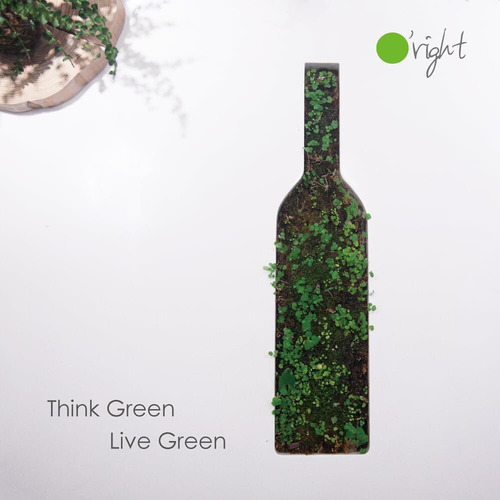 Crema De Manos Green Tea 40ml Hidratación O'right