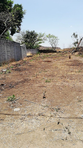 Imagen 3 de 4 de En Venta Terreno En Col. Tenmilca En Atlatlahucan Morelos Con Acceso Sobre Carretera