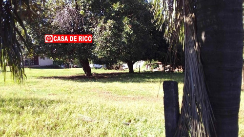Imagem 5 de 6 de Chácara A Venda Em Londrina - 687