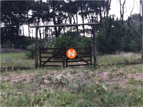 Imagen 3 de 3 de Oportunidad De Venta-rincon Del Indio - Punta Del Este Rincón Del Indio