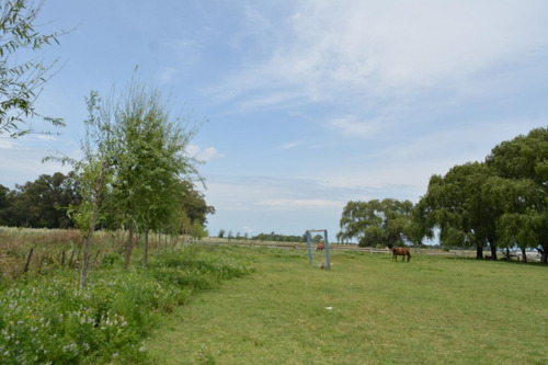 Imagen 6 de 24 de Venta De Campo De 2 Hectáreas En Guernica